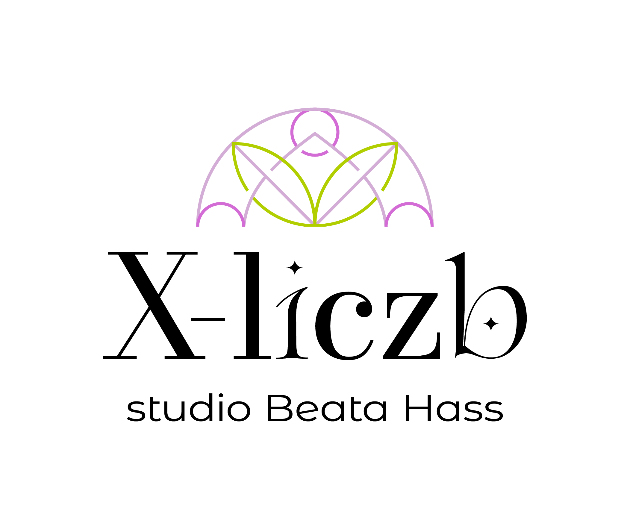 Studio X-liczb Beata Hass LOGO_X-liczb logo poziom